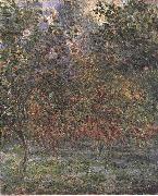 Claude Monet The Lemon Grove in Bordighera china oil painting artist